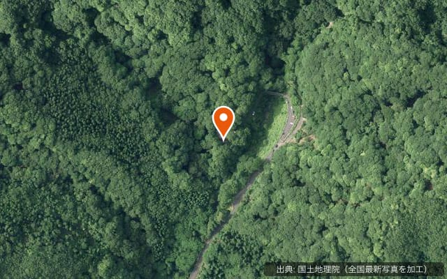 八東ふるさとの森
