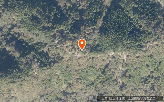 フォレストパーティー峰山