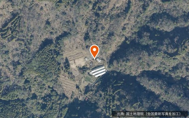 大池キャンプ場