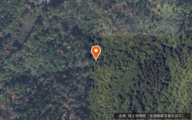 大山自然公園キャンプ場