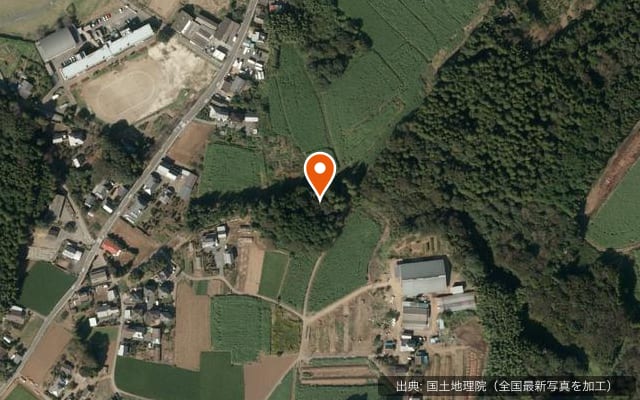 Hillbilly Camping