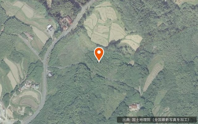 千畳敷キャンプ場