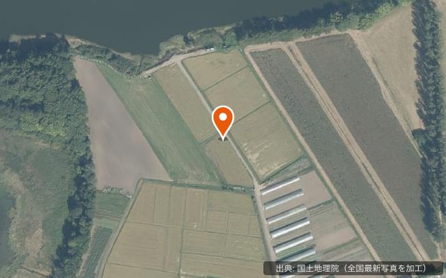 とれた小屋ふじいキャンプ場「para-to sunset river」