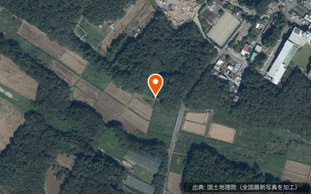 アークの森キャンプ場