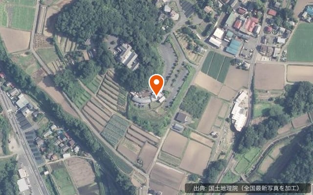Blissful Garden