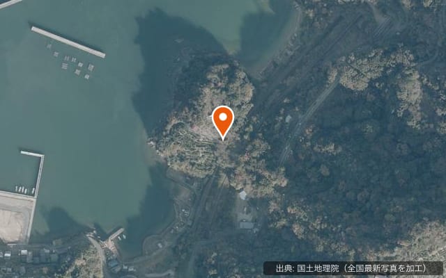 Collegare コンテナサイト