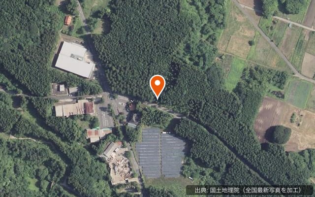 JUTE CAMP FIELD